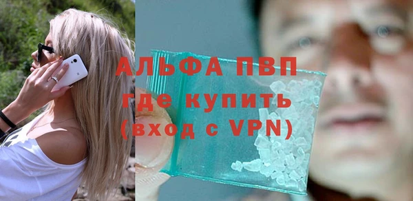 прущие грибы Карталы