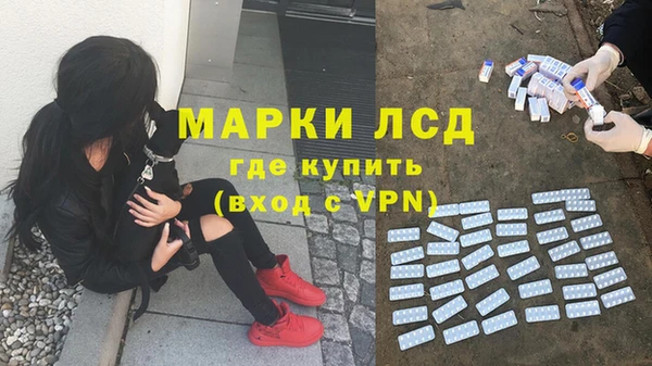 прущие грибы Карталы