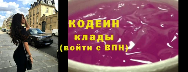 хмурый Карпинск