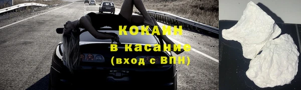 прущие грибы Карталы