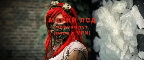СК Касимов
