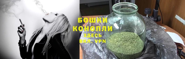 прущие грибы Карталы