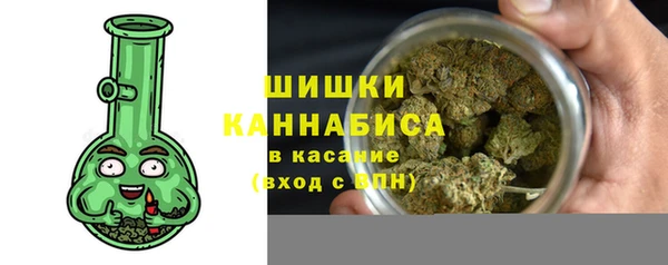 прущие грибы Карталы