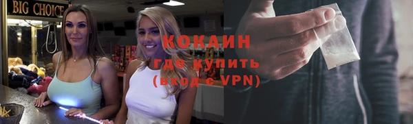 прущие грибы Карталы
