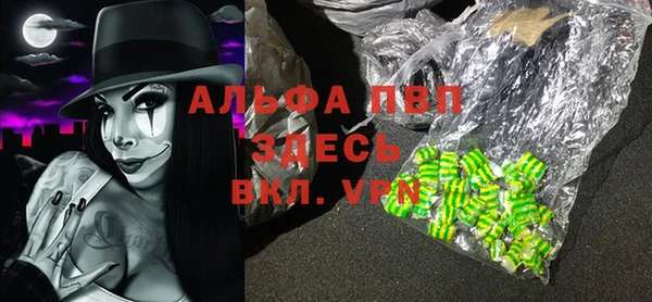 хмурый Карпинск
