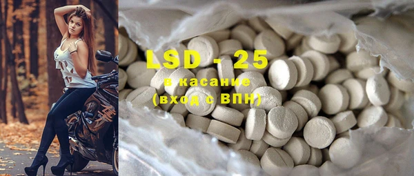 прущие грибы Карталы
