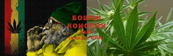 прущие грибы Карталы