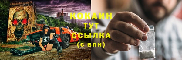 хмурый Карпинск
